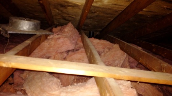 attic-mold