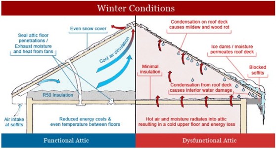 winter-attic-conditions